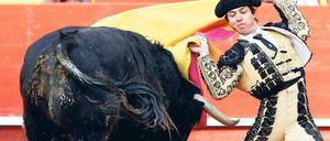 Tanz um das Tier. Zwei Dritteln der Spanier ist der Stierkampf egal. Hier eine Szene aus der Arena von Valencia im März.