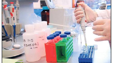 Forschung für die Gesundheit. In Berlin und Brandenburg gibt es 180 Biotech-Unternehmen.