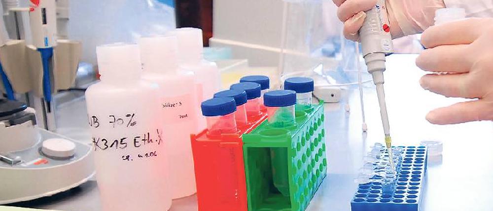 Forschung für die Gesundheit. In Berlin und Brandenburg gibt es 180 Biotech-Unternehmen. 