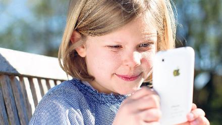 Spielmaschine iPhone. Auf Apples Smartphone läuft die Brettspieladaption „Carcassonne“ (rechts oben) ebenso wie der Fußballtitel „Soccer Superstar“. Für „Fifa WM 2010“ (rechts Mitte) benötigt man die Playstation Portable. Statt Fußball gibt’s für Nintendo DS nette Suchspiele wie „Das goldene Amulett des Pharao“. Fotos: dpa/Promo (3)