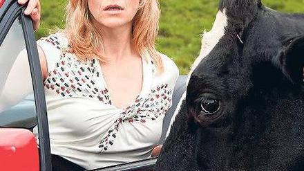 Schock für Sophie Haas (Caroline Peters). In der Eifel stehen überall Kühe rum. F.: ARD