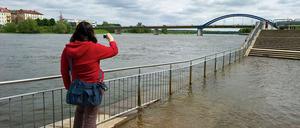 Oderufer in Frankfurt