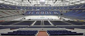 Viel vorgenommen haben sich die deutschen Eishockeyspieler bei dieser WM. Los geht's in der riesigen Arena Auf Schalke.