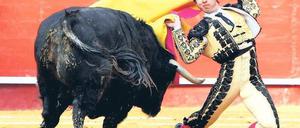 Grausames Spektakel. Die Corrida ist eine Milliardenbranche, mit der sich die politischen Parteien nicht anlegen wollen.
