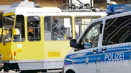 325598_3_xio-fcmsimage-20100227225249-006000-4b899431b6939.heprodimagesfotos83120100228tram.jpg