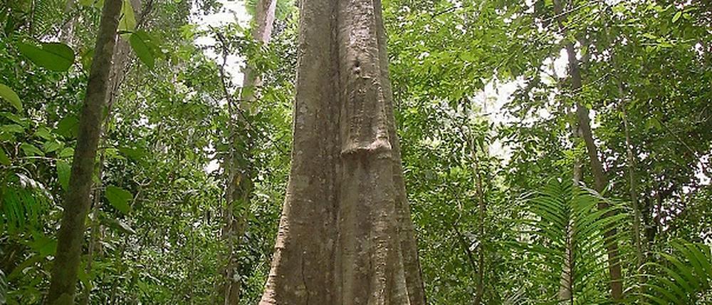 325125_0_87b59183.jpg