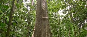 325125_0_87b59183.jpg