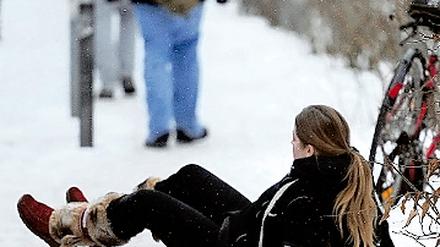 321685_0_47d43ad7.jpg
