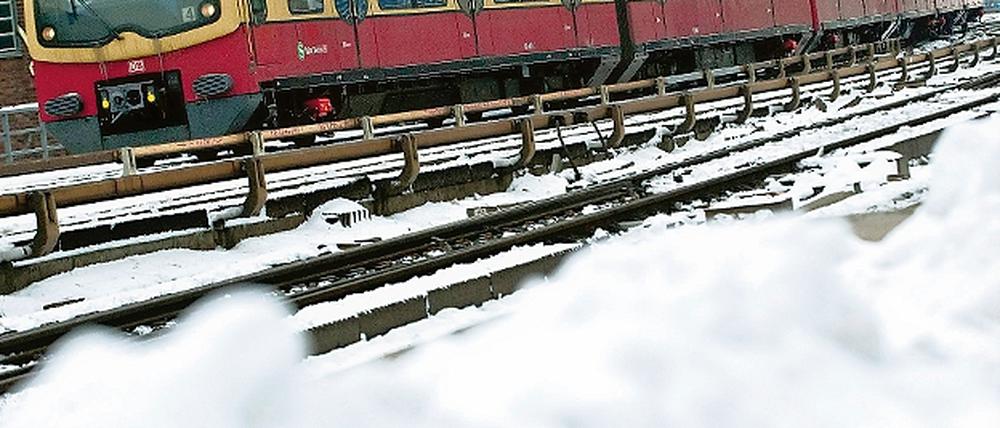 319772_0_f7b5d71a.jpg