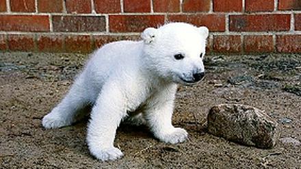 316445_0_4d1c6aa9.jpg