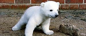 316445_0_4d1c6aa9.jpg