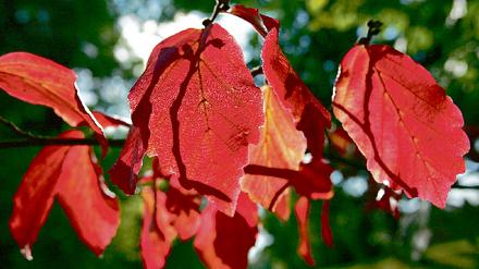 305774_0_d60c29d3.jpg