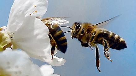 305624_0_502219d4.jpg