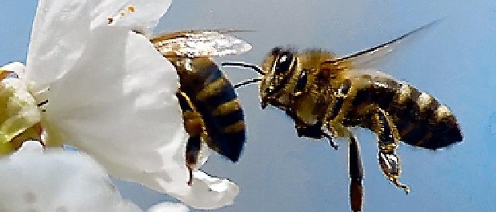 305624_0_502219d4.jpg