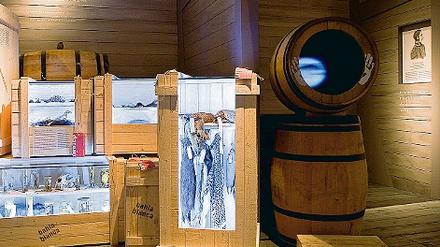 305375_0_ab0ca958.jpg