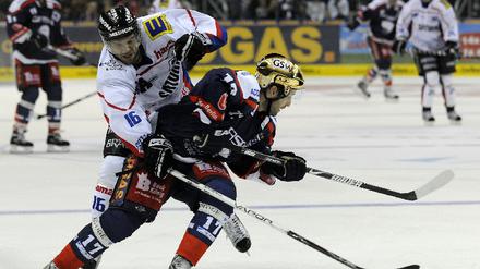 Eisbären Berlin - ERC Ingolstadt