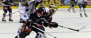 Eisbären Berlin - ERC Ingolstadt