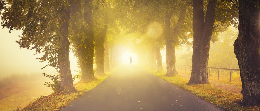 Wartet am Ende ein helles Licht auf uns?