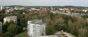 Für einen Wohnungsbau am Babelsberger Park setzt Potsdam seinen UNESCO-Welterbetitel aufs Spiel.
