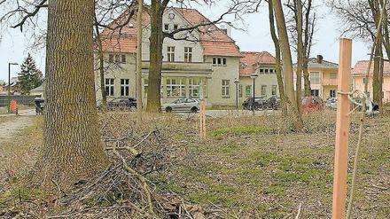 Begehrt. Auf dem Parkgelände sollen Einfamilienhäuser entstehen.