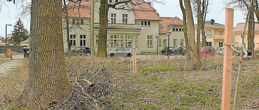 Begehrt. Auf dem Parkgelände sollen Einfamilienhäuser entstehen.