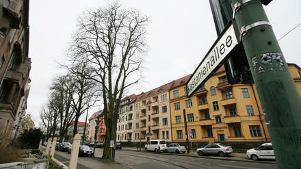Die Kastanien in der Kastanienallee sollen bleiben.
