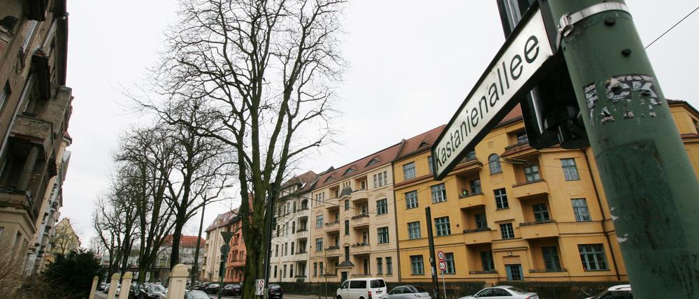 Die Kastanien in der Kastanienallee sollen bleiben.