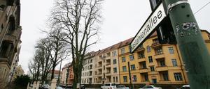 Die Kastanien in der Kastanienallee sollen bleiben.