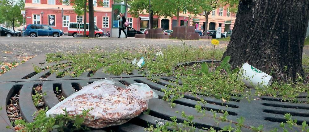 Weg mit dem Dreck. Am Sonntag um 11 Uhr startet die Müllsammelaktion des Zentrums für Hochschulsport der Uni Potsdam. Wenn es nach den Organisatoren geht, soll die die Veranstaltung nun jährlich stattfinden.