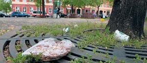 Weg mit dem Dreck. Am Sonntag um 11 Uhr startet die Müllsammelaktion des Zentrums für Hochschulsport der Uni Potsdam. Wenn es nach den Organisatoren geht, soll die die Veranstaltung nun jährlich stattfinden.