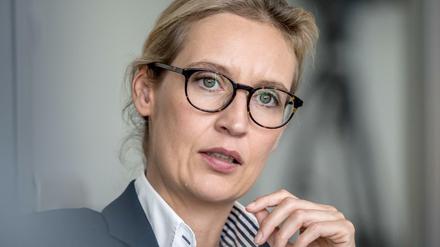 AfD-Fraktionschefin Alice Weidel hat erfolgreich gegen Facebook wegen eines Kommentars geklagt.