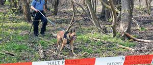 Im Einsatz. Die Polizei suchte am Donnerstag mit drei Spürhunden nach der Leiche des vermissten Mädchens in dem Waldgebiet in der Nähe des Nymphensees – bisher ohne Erfolg.