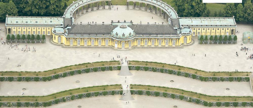 Wein zu Wurst. Die Terrassen des Weinbergs vor Schloss Sanssouci sind ein echtes Postkartenmotiv. Kein Wunder, dass sie vor 25 Jahren auch in das offizielle Potsdam-Logo integriert wurden – wenn auch verkehrt herum. Allerdings besteht Verwechslungsgefahr, wie Studenten der Fachhochschule ermittelten.