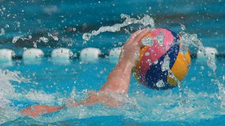 Etabliert. Die Wasserballer des OSC Potsdam gehören zu den Besten ihre Zunft.