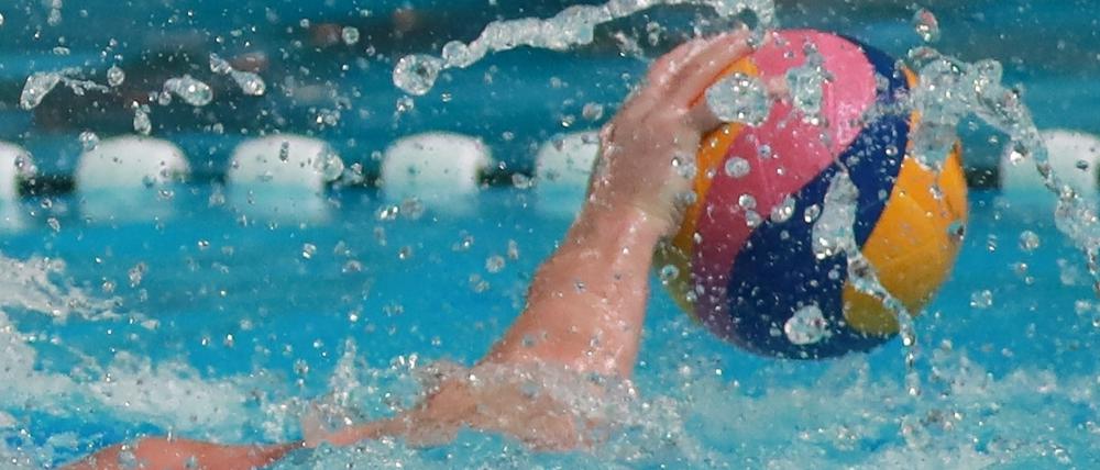 Etabliert. Die Wasserballer des OSC Potsdam gehören zu den Besten ihre Zunft.