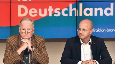 Nachgefolgt. Andreas Kalbitz (r.) und Alexander Gauland (l.).