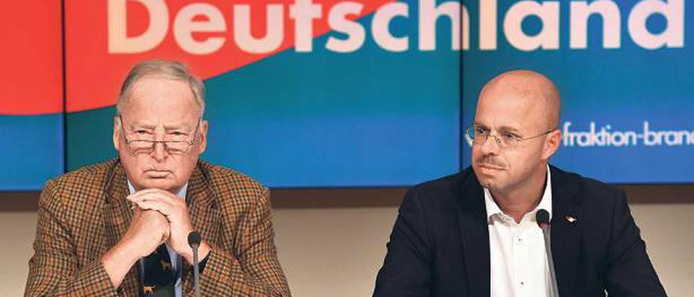Nachgefolgt. Andreas Kalbitz (r.) und Alexander Gauland (l.).