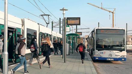 Streitpunkt. Dass Buslinien aus dem Norden am Jungfernsee enden, gefällt vielen nicht. Andere würden dort gern umsteigen, können aber nicht.