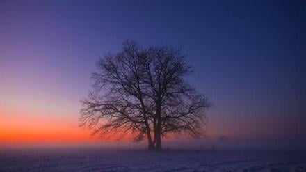Frost auf Brandenburgs Feldern.