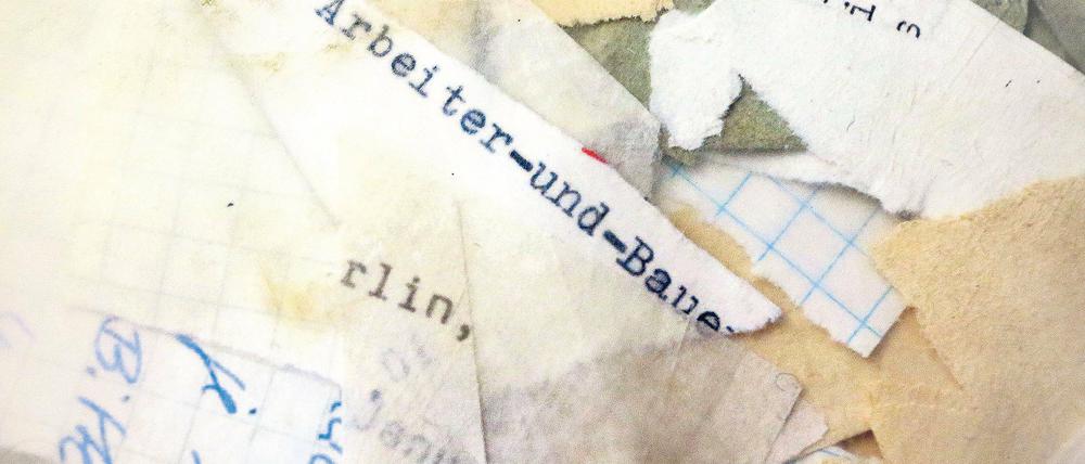 Puzzlearbeit. Mit akribischer Recherche der Akten wollen die Zeithistoriker Licht in das dunkle Kapitel zwischen Stasi und der Grünen-Partei bringen.