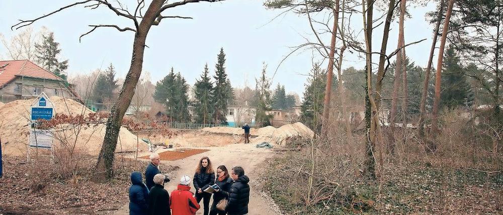 Kahlschlag. Besonders auf neu erschlossenen Grundstücken gehe die Gemeinde sehr großzügig mit ihren Fällgenehmigungen um, meinen die Mitglieder der Bürgerinitiative für Baumerhalt in Wildpark-West. Manchmal komme nicht einmal ein Sachverständiger vorbei, um den Zustand der Bäume vor Ort zu beurteilen.