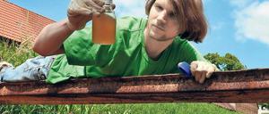 Gefährlicher Rostschlamm. Seit etliche Tagebaue dicht sind und das Wasser wieder ansteigt, geraten Schwefelsalze und Eisenocker in die Spree. Sie bedrohen Fische, Pflanzen und das Trinkwasser. Hier nimmt ein Umweltschützer eine Probe bei Egsdorf.