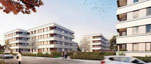 Sozial verträglich. Für 165 Wohnungen an der Georg-Hermann-Allee hat die Pro Potsdam gestern Richtfest gefeiert. Drei Viertel von ihnen werden für 5,50 Euro je Quadratmeter vermietet. Visualisierung: Müller Reimann Architekten/Pro Potsdam,