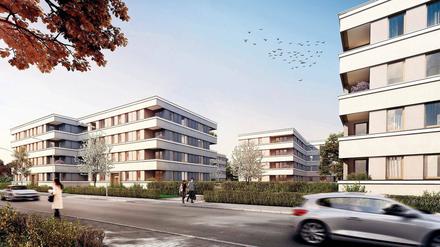 Sozial verträglich. Für 165 Wohnungen an der Georg-Hermann-Allee hat die Pro Potsdam gestern Richtfest gefeiert. Drei Viertel von ihnen werden für 5,50 Euro je Quadratmeter vermietet. Visualisierung: Müller Reimann Architekten/Pro Potsdam,