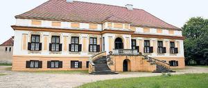 Mittelpunkt. Rund ums Schloss soll in den nächsten Jahren gebaut werden.