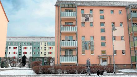 Gefragte Wohnungen. Fünf Anfragen täglich gibt es bei der WGT.