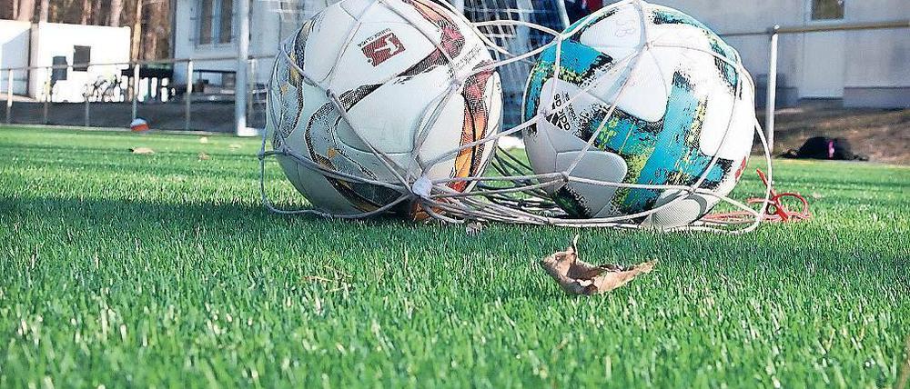Im Netz. Michendorf will Fördermittel für die Sportstätte Hellerfichten.