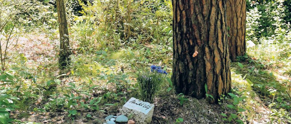 Dezentes Grab. Die Ruhestätte von Manfred Krug ist eine der unscheinbarsten auf dem Südwestkirchhof. Der neue Friedhofsführer stellt sie genauso vor wie große Mausoleen.