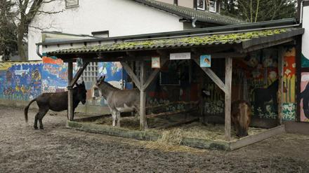 Gibt es noch eine Chance für den Vogelpark in Teltow?
