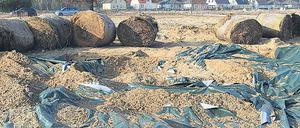 Unspektakulär. Folienreste kennzeichnen die Stelle der Sprengung.